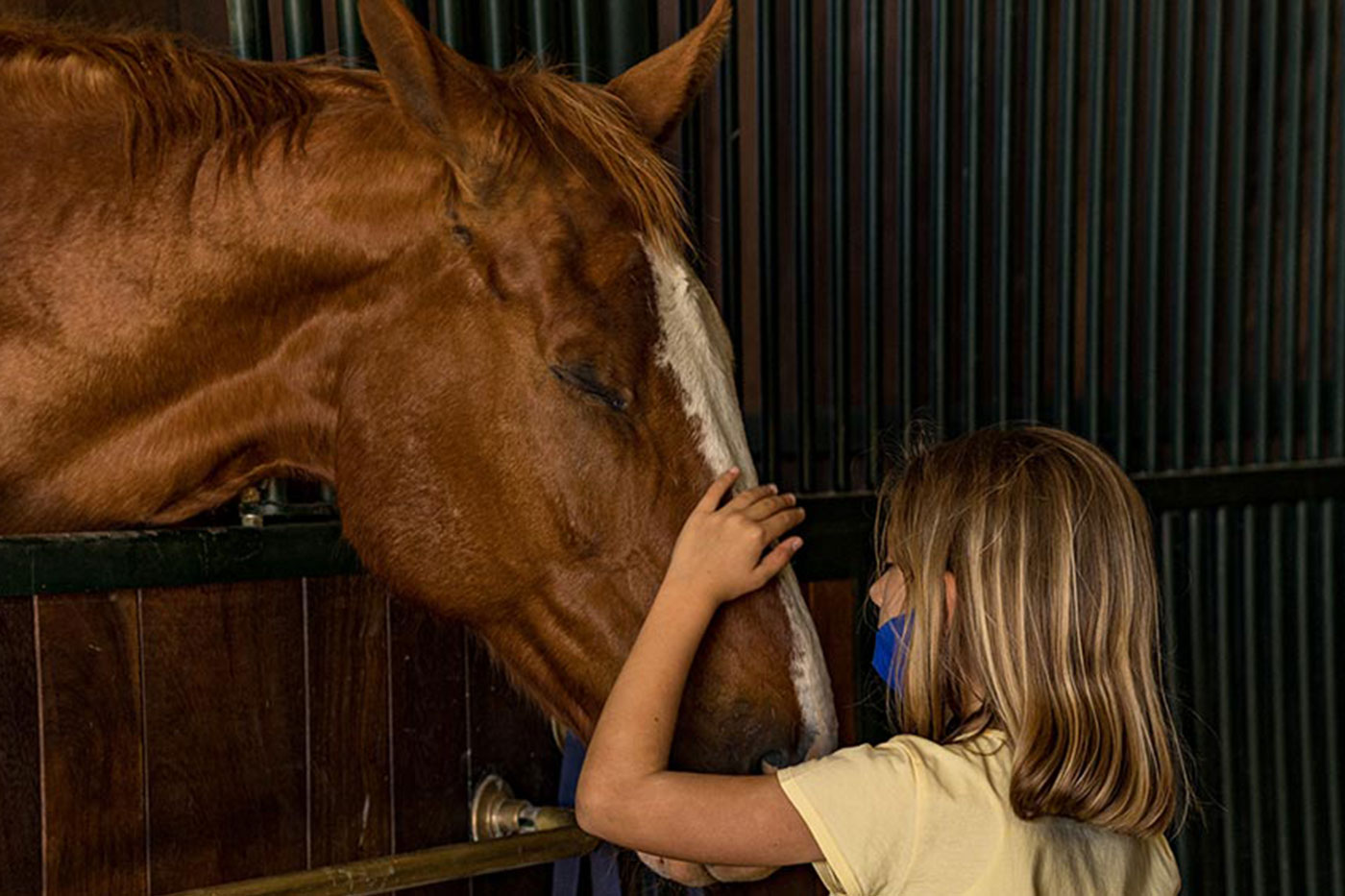 Avvicinamento al Cavallo